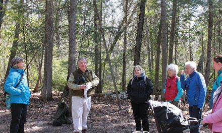 Série de randonnées sur la biodiversité d’Aylmer offertes jusqu’à la mi-juin  